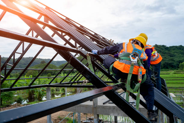 Best Roof Gutter Cleaning  in Fennville, MI