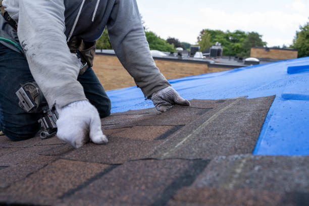 Best Storm Damage Roof Repair  in Fennville, MI