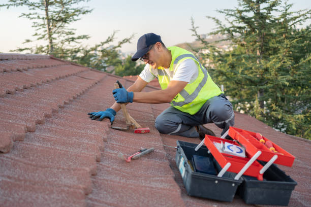 Best Roof Restoration Services  in Fennville, MI