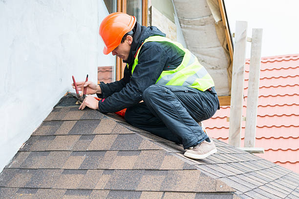 Best Roof Waterproofing Services  in Fennville, MI