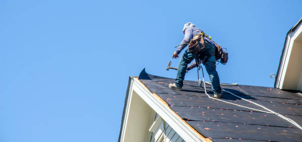 Best Metal Roofing Contractor  in Fennville, MI
